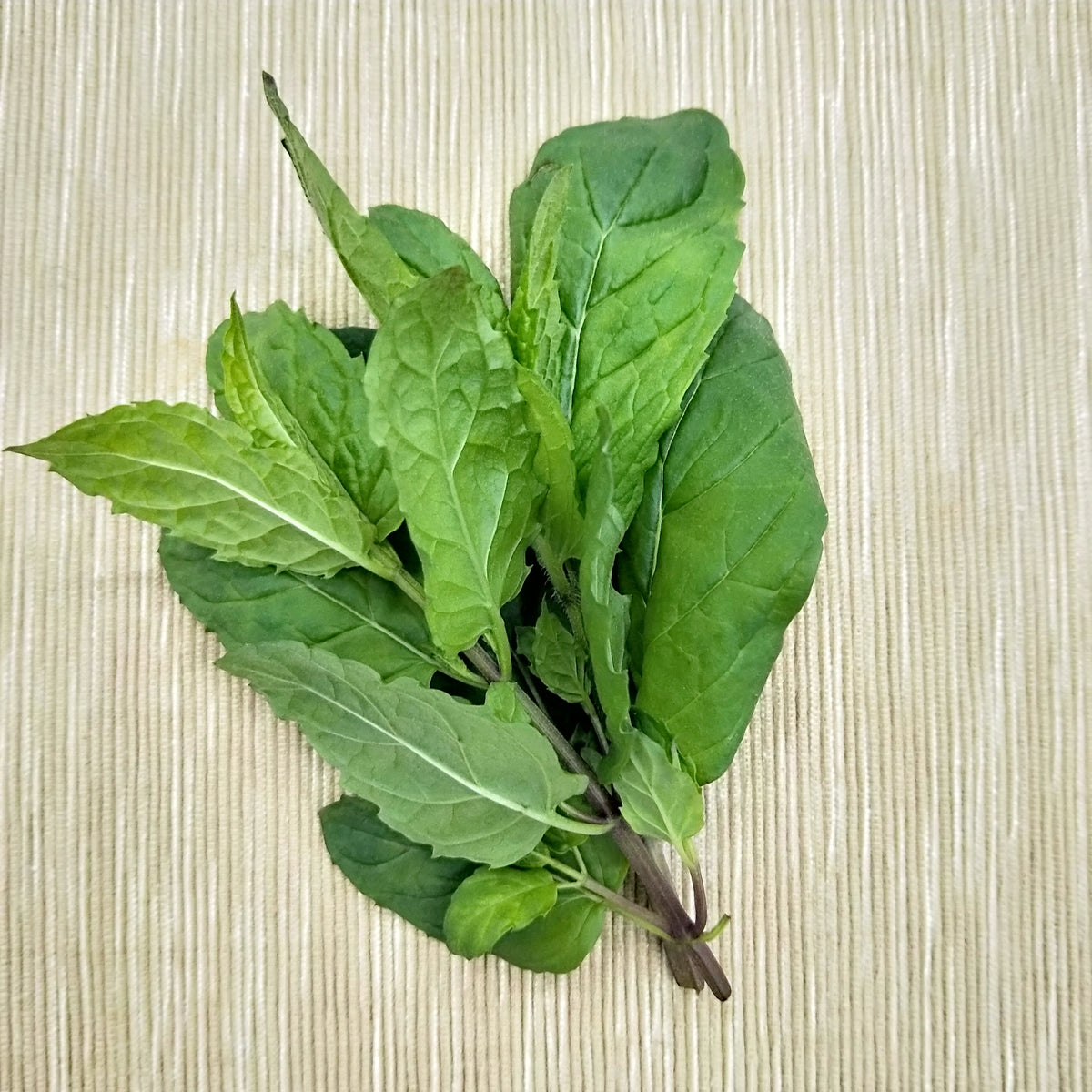 Limoncello Cocktail with Mint – Backyard Fresh