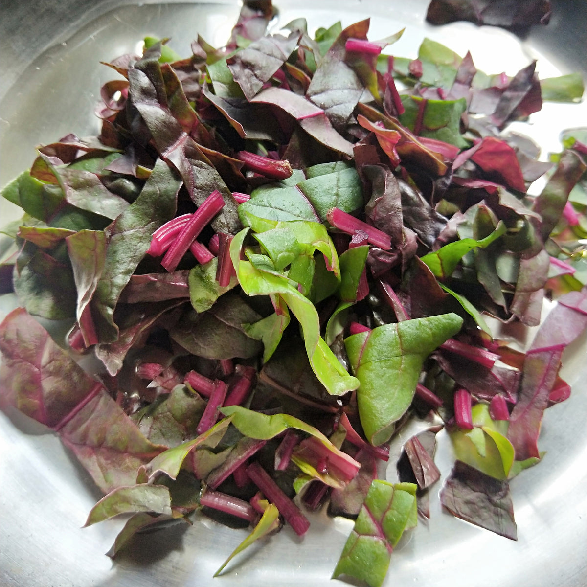 Garlicky Swiss Chard – Backyard Fresh