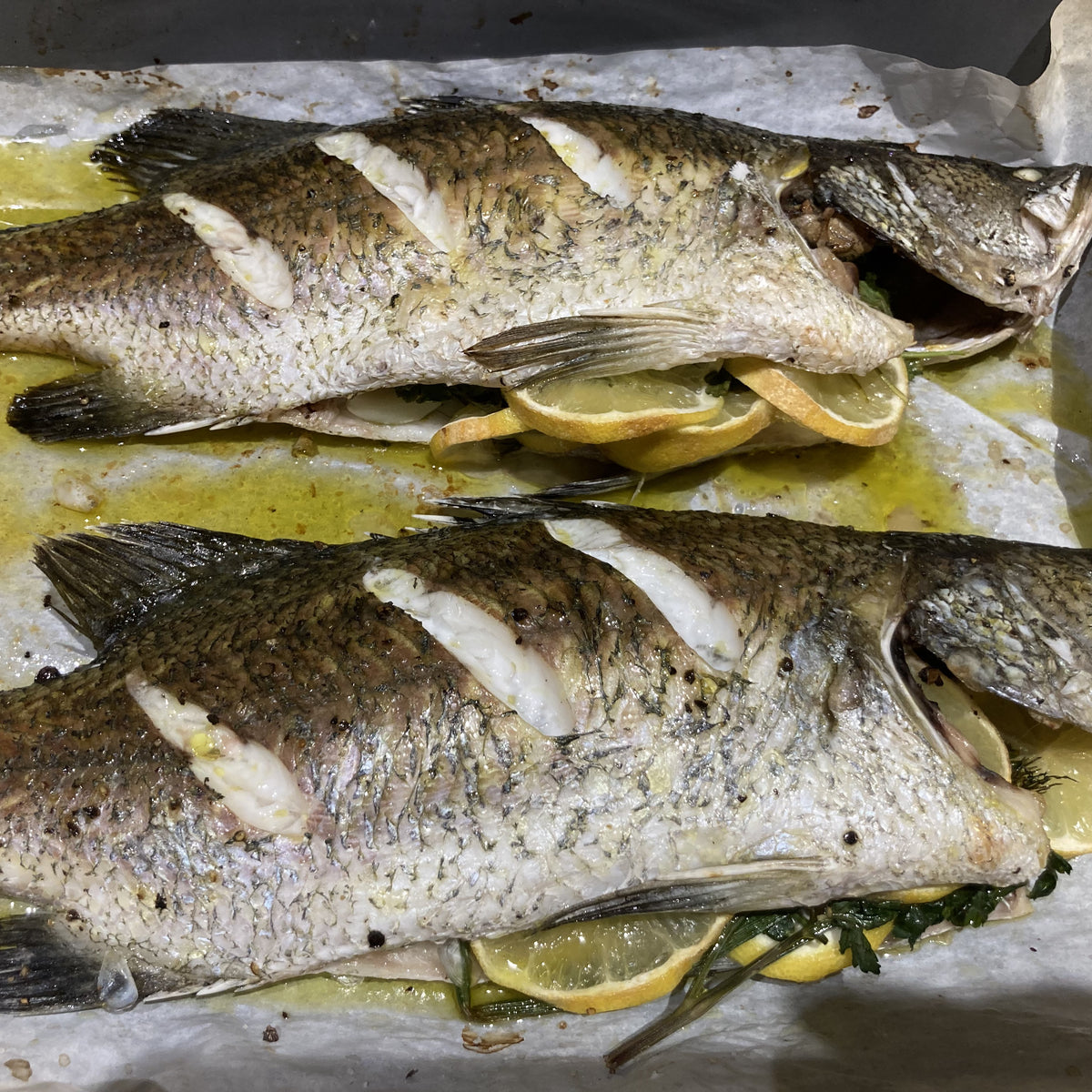 Grilled Whole Fish with Herbs – Backyard Fresh