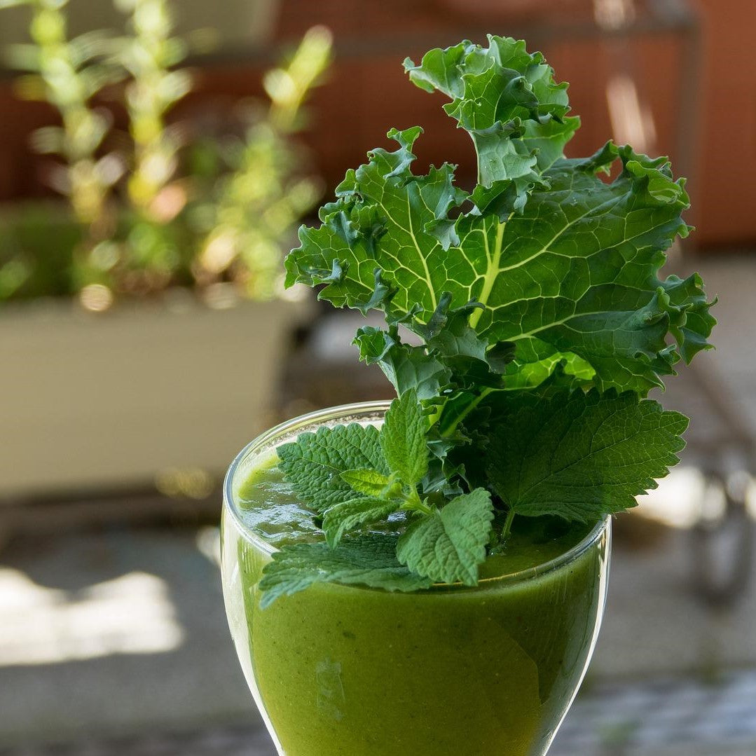 Creamy Kale Smoothie – Backyard Fresh