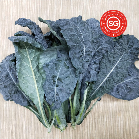 Tuscan Kale | Bountiful