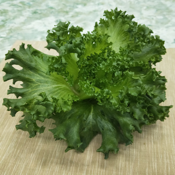 Crystal Lettuce | Bountiful