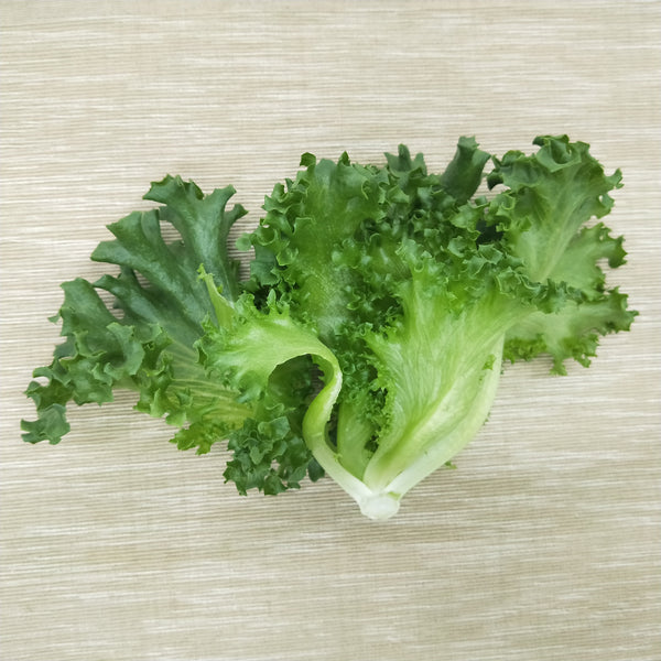 Crystal Lettuce | Bountiful