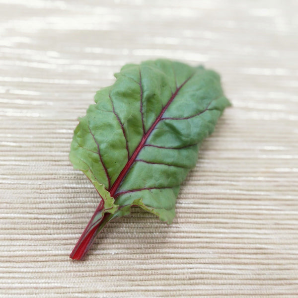 Baby Swiss Chard Leaves | Bountiful