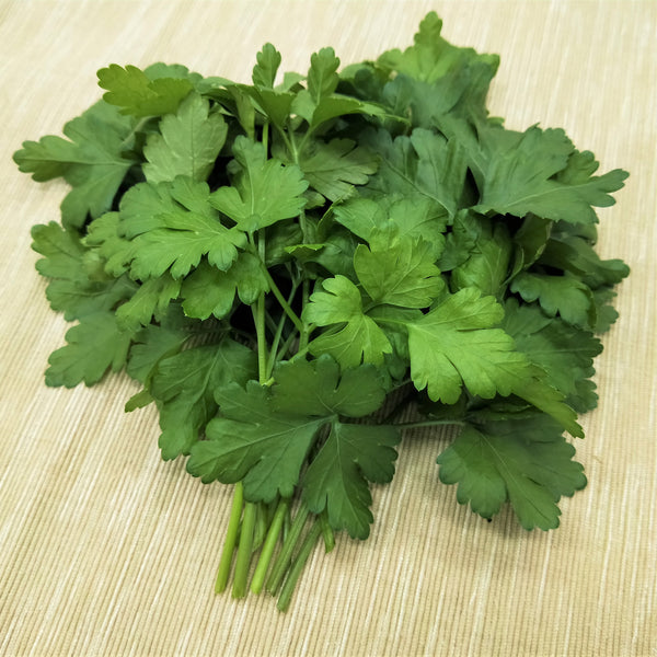Italian Parsley | Bountiful