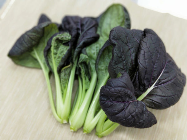 Purple Bok Choy | Bountiful
