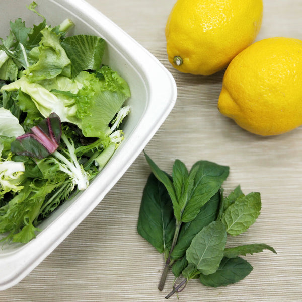 Fresh Mint | Bountiful