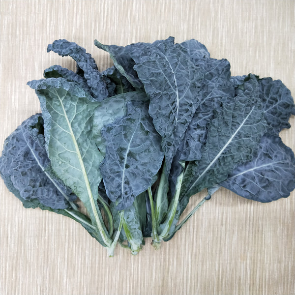 Tuscan Kale | Bountiful