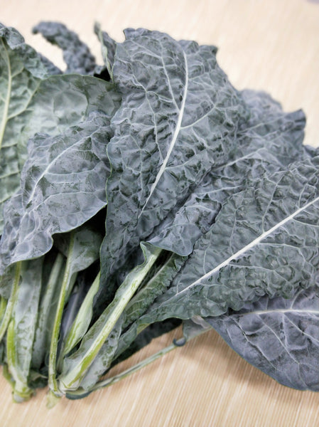 Tuscan Kale | Bountiful
