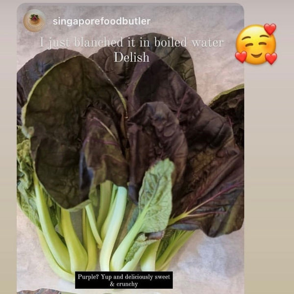 Purple Bok Choy | Bountiful