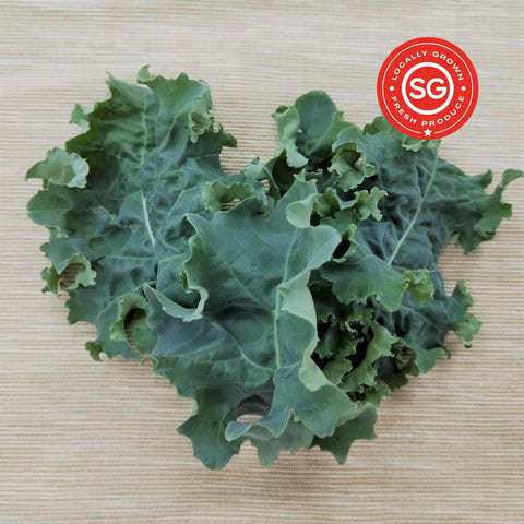 Curly Kale. Fresh Singapore Vegetables. Local Farm. Organic.