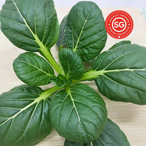 Komatsuna. Fresh Singapore Vegetables. Local Farm. Organic.