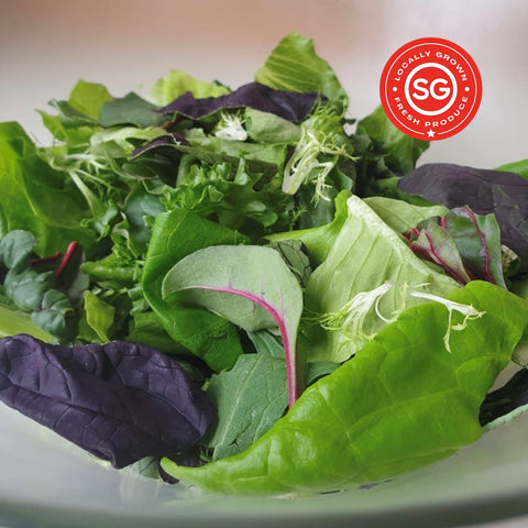 Mesclun Mix. Fresh Singapore Vegetables. Local Farm. Organic.