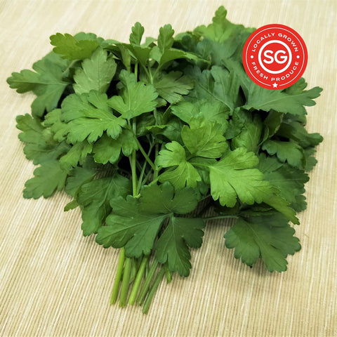 Italian Parsley. Fresh Singapore Vegetables. Local Farm. Organic.