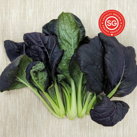 Purple Bok Choy. Fresh Singapore Vegetables. Local Farm. Organic.