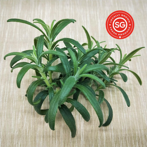 Rosemary Herbs. Fresh Singapore Vegetables. Local Farm. Organic.