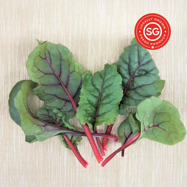 Baby Swiss Chard Leaves | Bountiful