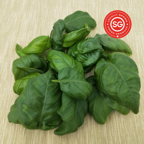 Genovese Basil. Fresh Singapore Vegetables. Local Farm. Organic.