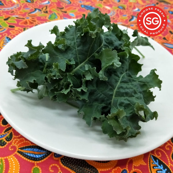 Curly Kale | Bountiful