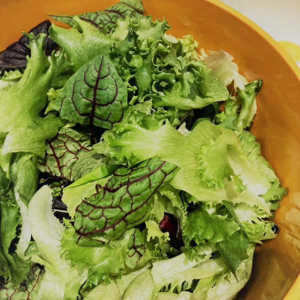 Sorrel | Bountiful