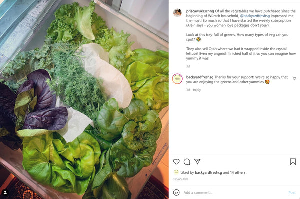 Vegetable Subscription | Bountiful