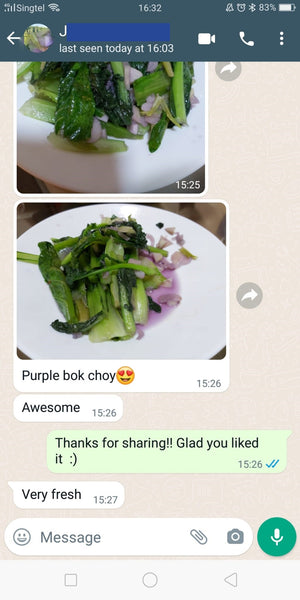 Purple Bok Choy | Bountiful