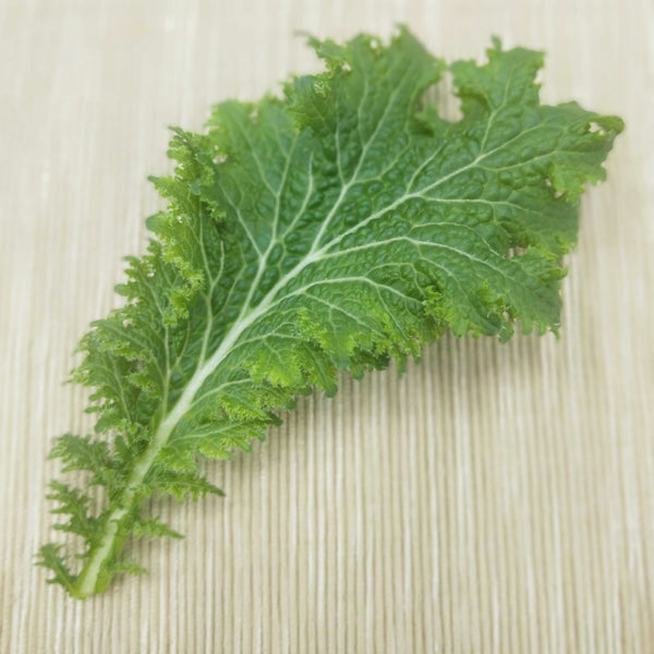 Wasabi Mustard | Bountiful