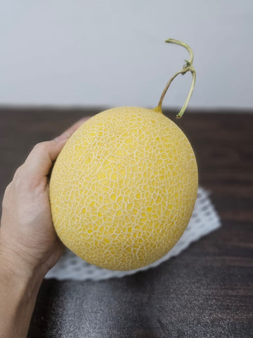Musk Melon - GAP Certified