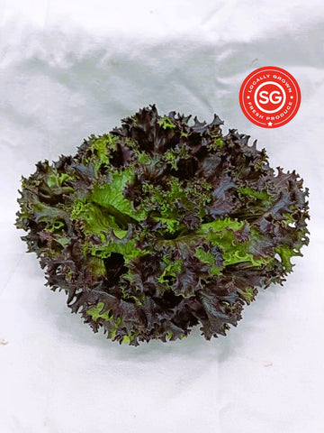 Red Crystal Lettuce | Bountiful