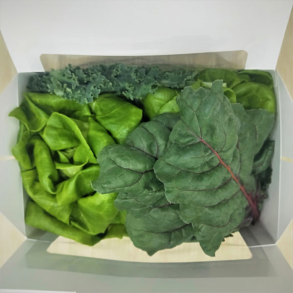 Joyful Greens Gift Set