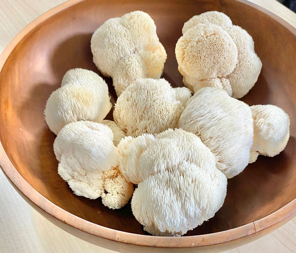 Lion's Mane Mushrooms and Veggies Bundle